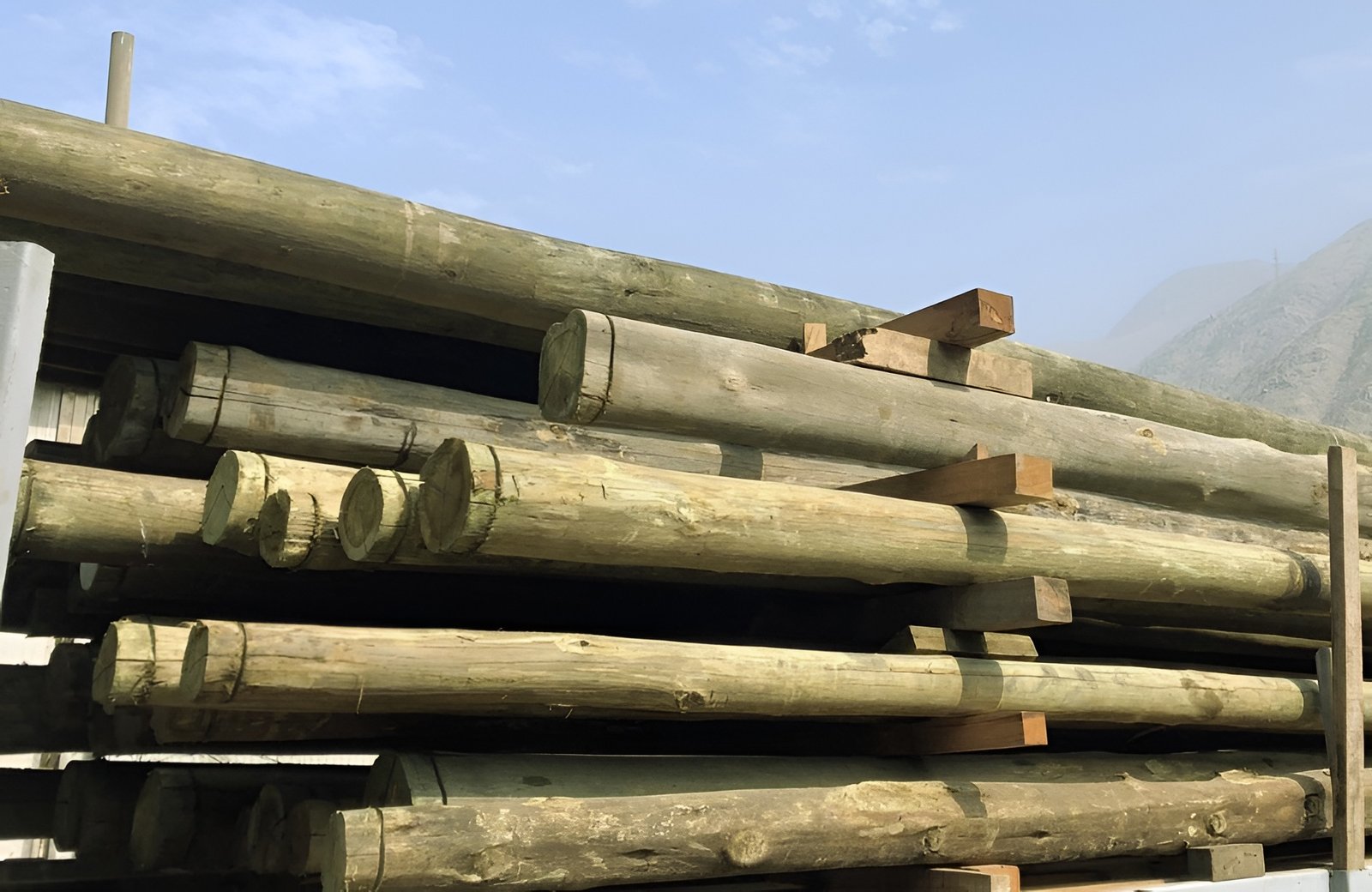 Postes de madera tratada alineados en planta Postes Wise