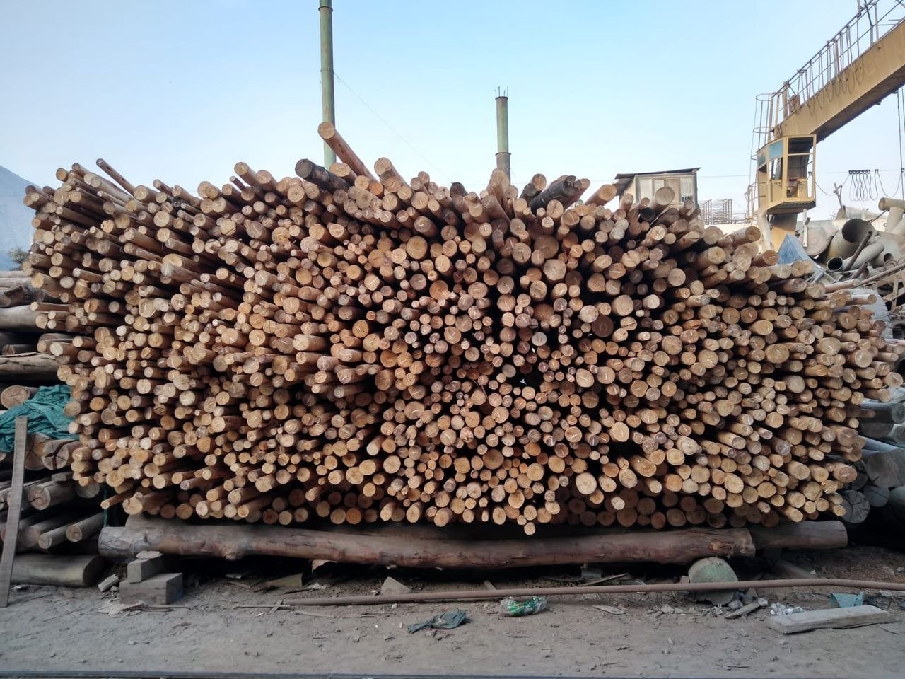 Palos de Madera Tratada