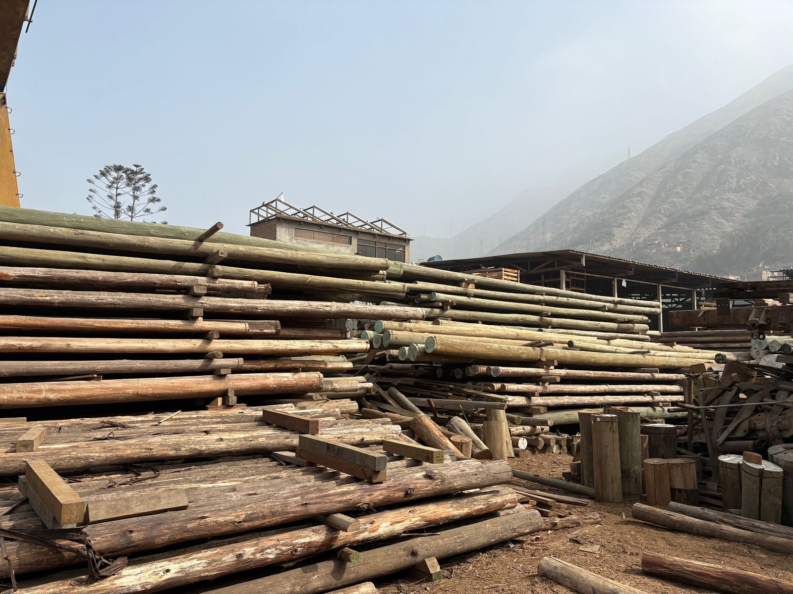 Secado de madera