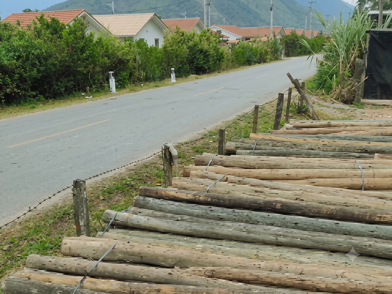 Despacho de postes de madera para cercados perimétricos